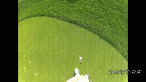 Charly'S Flip - Golf GIF