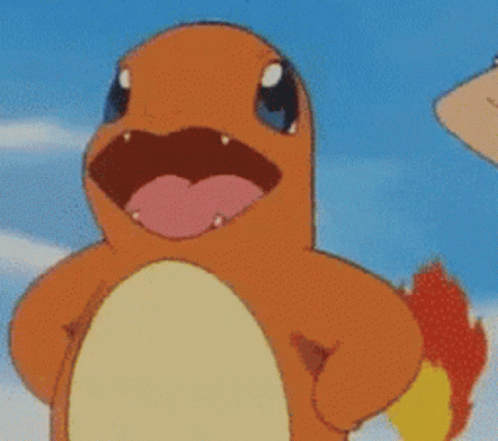 Charmander Charmander Pokemon GIF