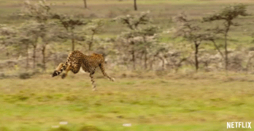 Chasing Our Planet GIF