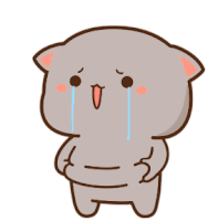 Chat Cat Sticker