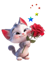 Chat Cat Sticker