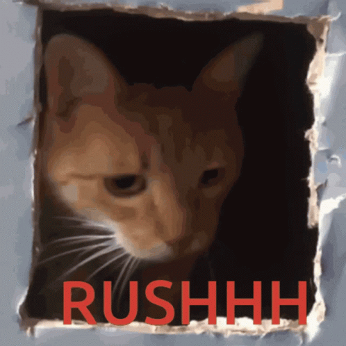 Chat Rush GIF
