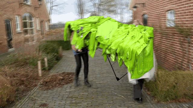 Chateau Meiland Erica Renkema GIF