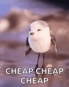 Cheap Money GIF. This 280 x 350 animated GIF is part of our roger cheap collection. Related themes include bird, cute, money. Created by…