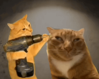 Cheat Games Cheating GIF