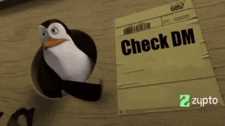 Check Dm Check Dms GIF