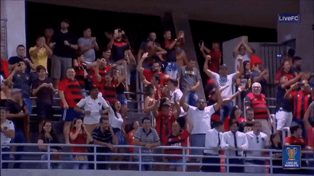 Cheering Woohoo GIF