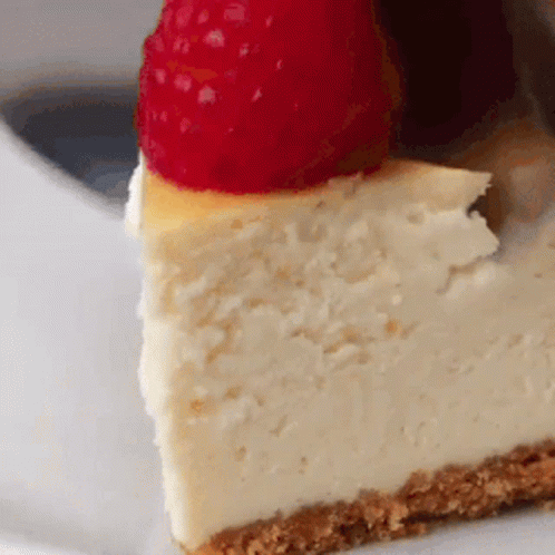Cheesecake Dessert GIF