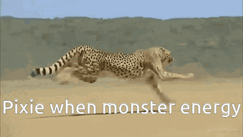 Cheetah GIF