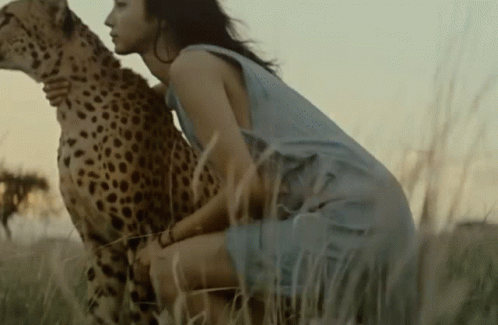 Cheetah Mitsushima Hikari GIF