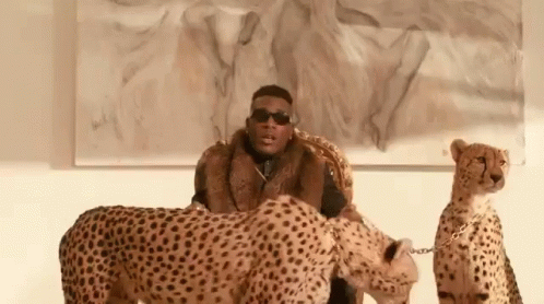 Cheetah Rich GIF