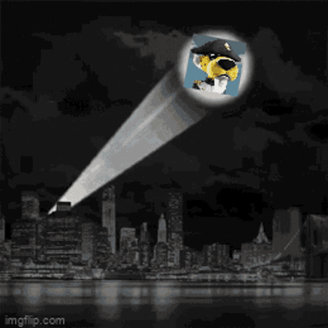 Cheeto Bat Signal Batman GIF
