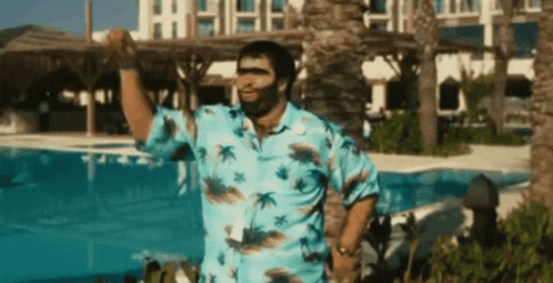 Chefibaka GIF. This 498 x 255 animated GIF is part of our recep ivedik el hareketi collection. Created by Chefbeaver. View the original animation, share it…