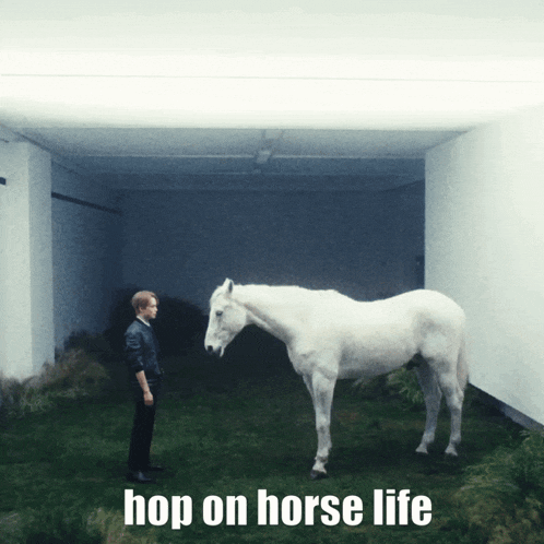 Chenle Horse Life GIF