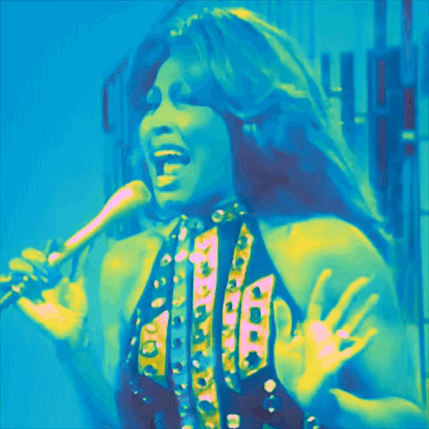 Cher Tina GIF