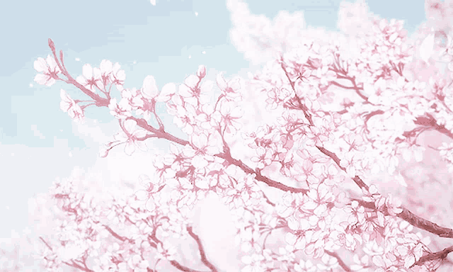 Cherry Blossom Anime GIF