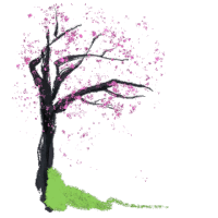 Cherry Blossom Blossoms Sticker