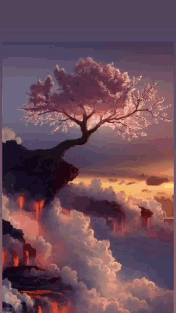 Cherry Blossom GIF