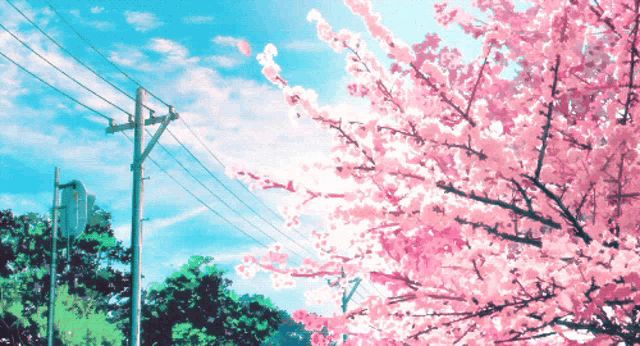Cherry Blossoms Anime GIF