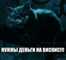 Cheshhh Chese GIF