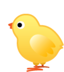 Chick Baby Chicken Sticker