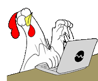 Chicken Chicken Bro Sticker