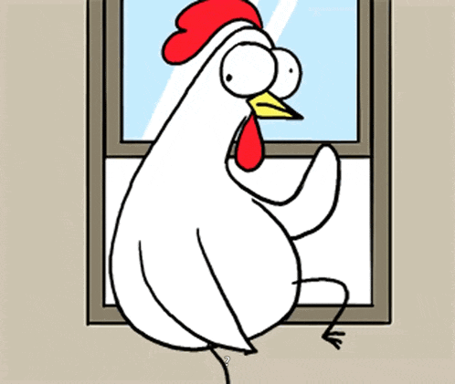Chicken Chicken Bro GIF