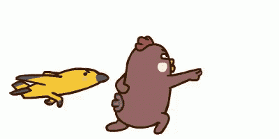 Chicken Plane GIF