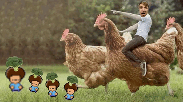 Chicken Point GIF