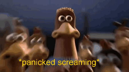 Chicken Run Gif GIF