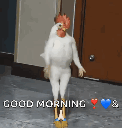Chicken Werk Chicken Dance GIF