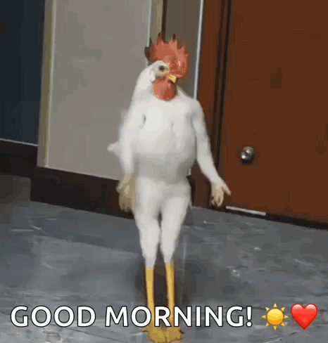 Chicken Werk Chicken Dance GIF