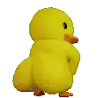 Chicky Twerk Sticker