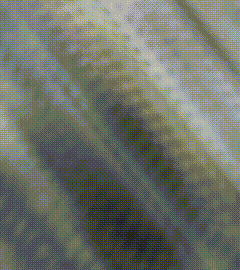 Chifqll Chiffon GIF