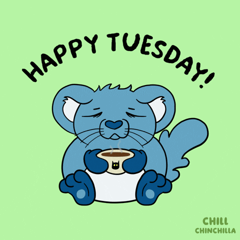 Chill Chinchilla GIF