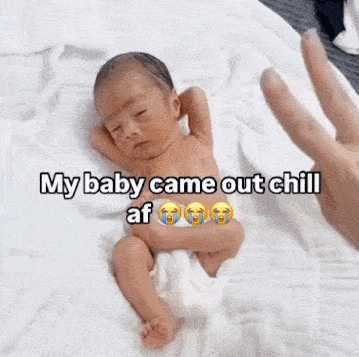 Chill Guy Stleed GIF