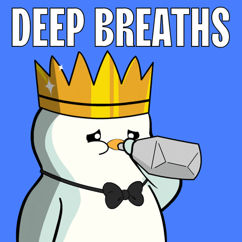 Chill Relax GIF. This 480 x 480 animated GIF is part of our breathing in bag collection. Related themes include breathing, calm down, nervous. Created by…