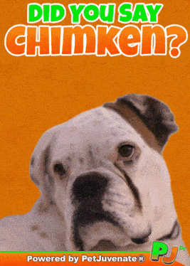 Chimken Chicken GIF