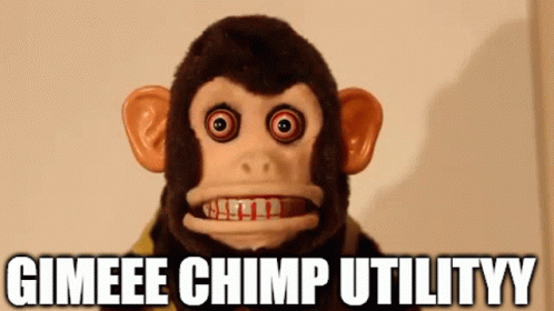 Chimp Chimps GIF