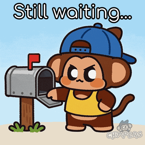 Chimpers Chimpi GIF