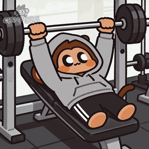 Chimpers Chimpi GIF