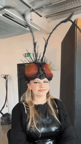 Chinchilla Chinchilla Music GIF