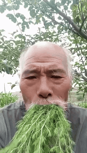 Chineese Man Eating Grass Yum GIF