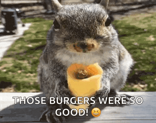 Chipmunk GIF. This 498 x 392 animated GIF is part of our funny squirrel collection. Created by Tanius. View the original animation, share it, or browse…