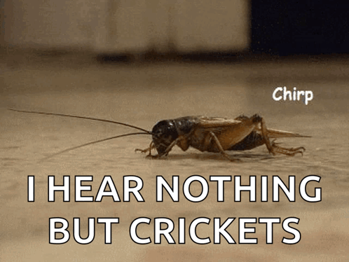 Chirp Chirp Chirp GIF. This 498 x 374 animated GIF is part of our cricket collection. Created by wennee. View the original animation, share it, or browse…