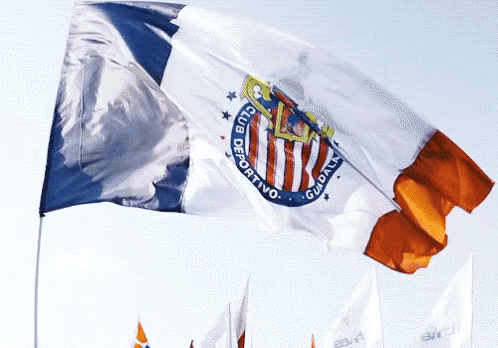 Chivas GIF