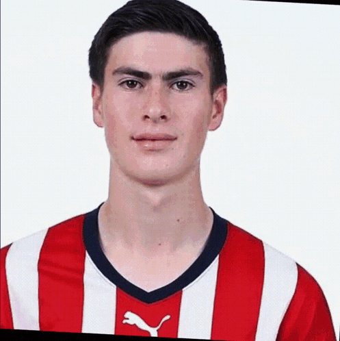 Chivas Hormiga GIF