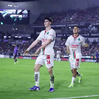 Chivas Hormiga GIF