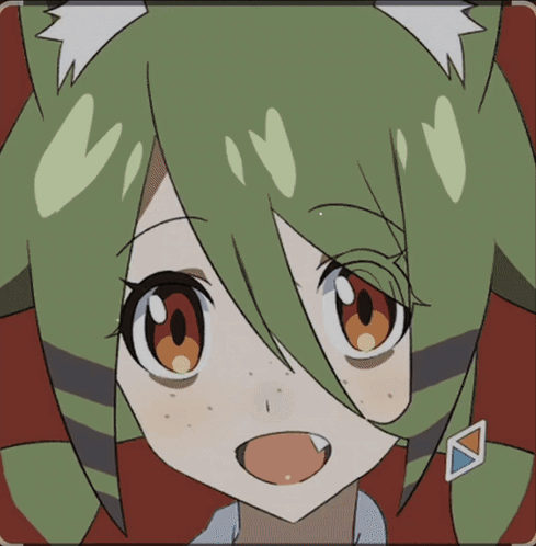 Chizu Chizu Koyote GIF