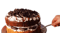 Chocolate Cake Cookie Cake Sticker